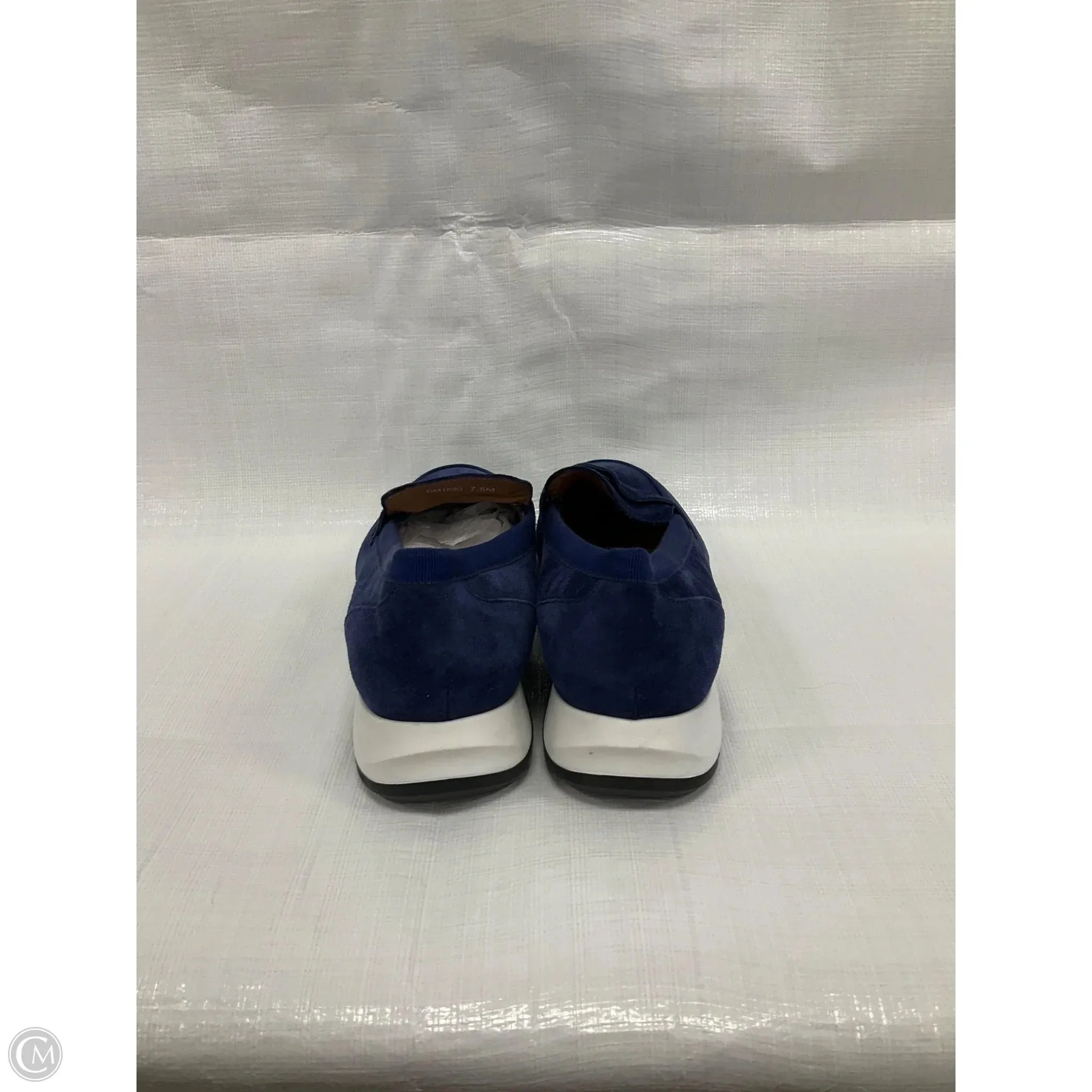 Shoes Flats By Aquatalia In Blue, Size: 7.5