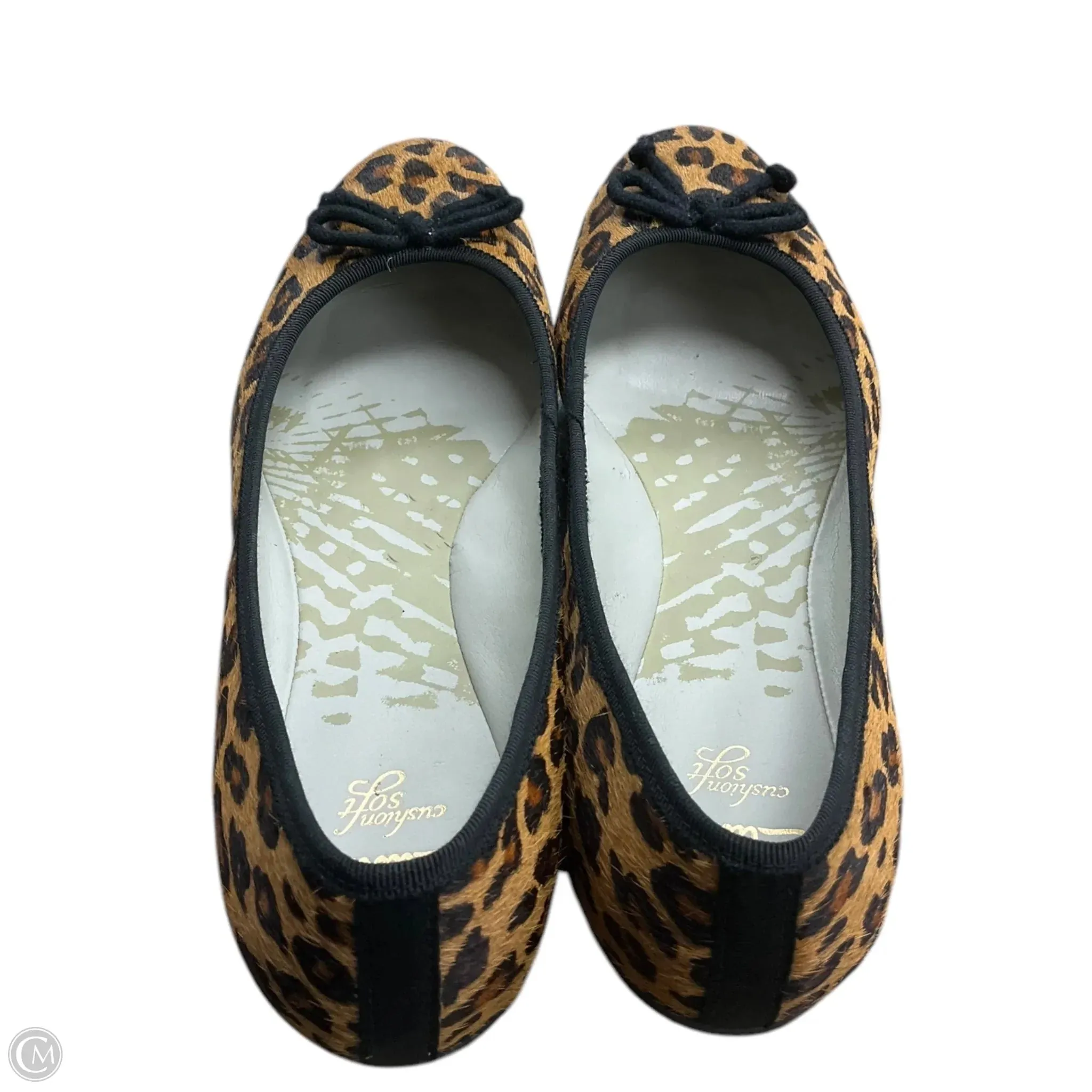 Shoes Flats By Clarks In Animal Print, Size: 6