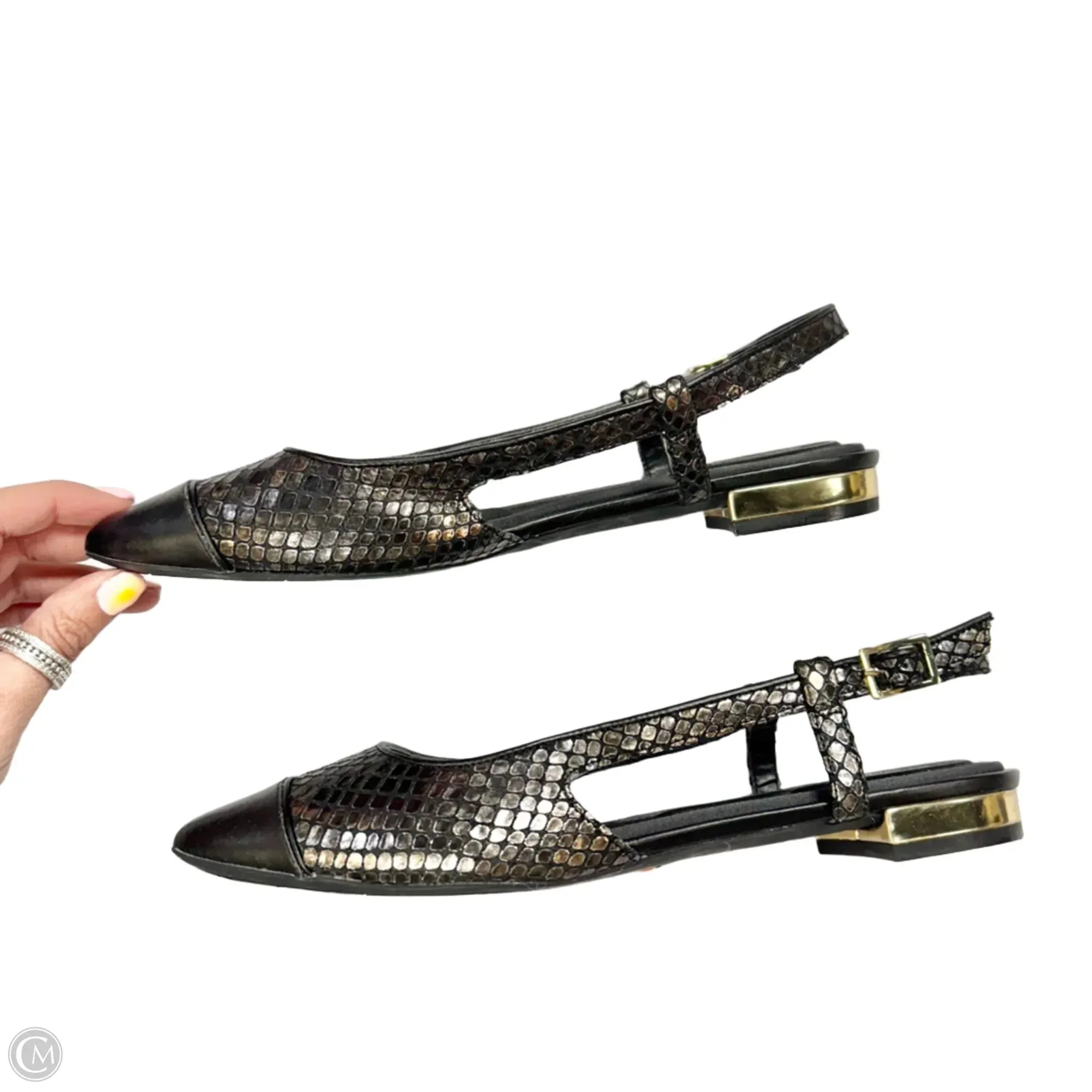 Shoes Flats By Rockport In Black, Size: 8.5