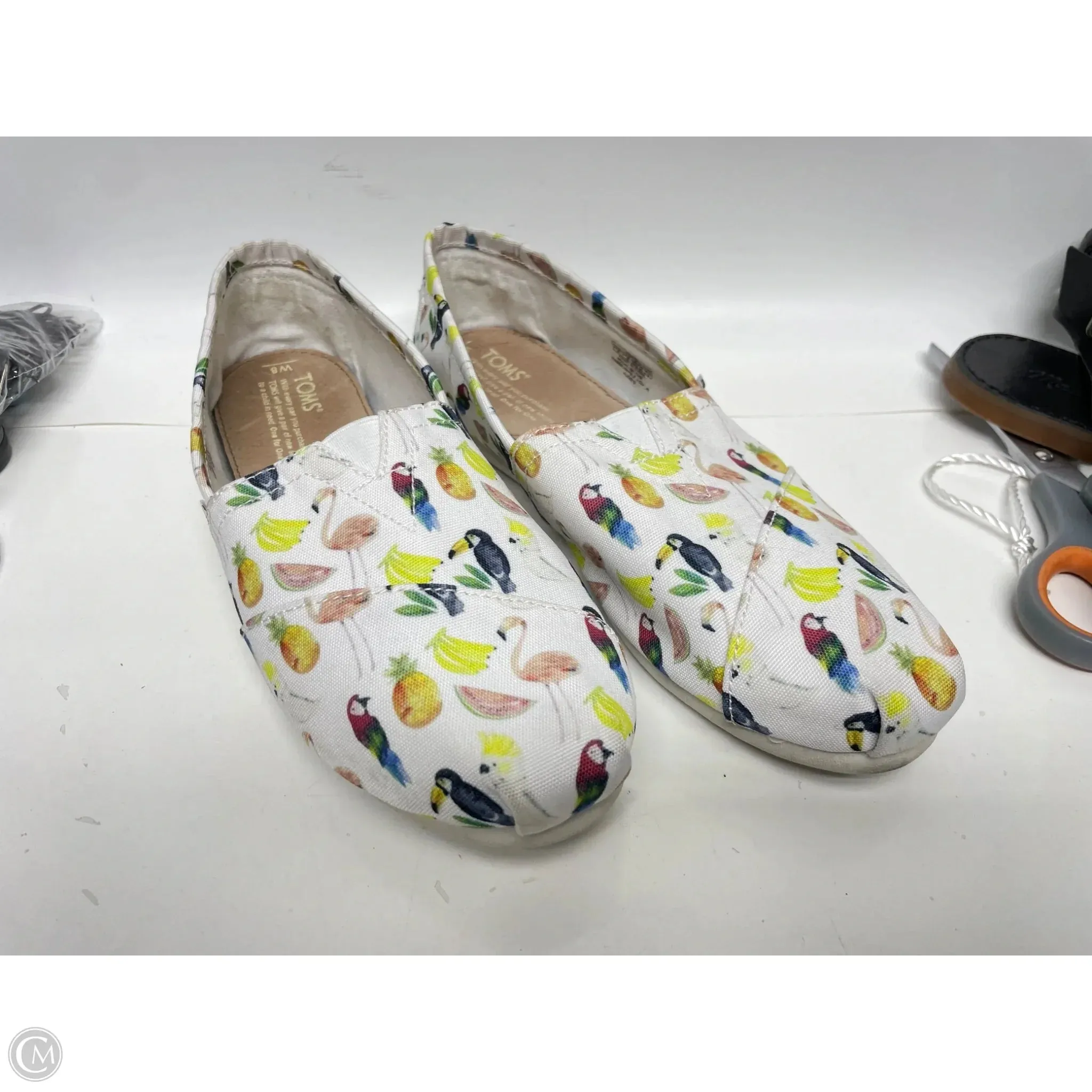 Shoes Flats By Toms In Multi-colored, Size: 8