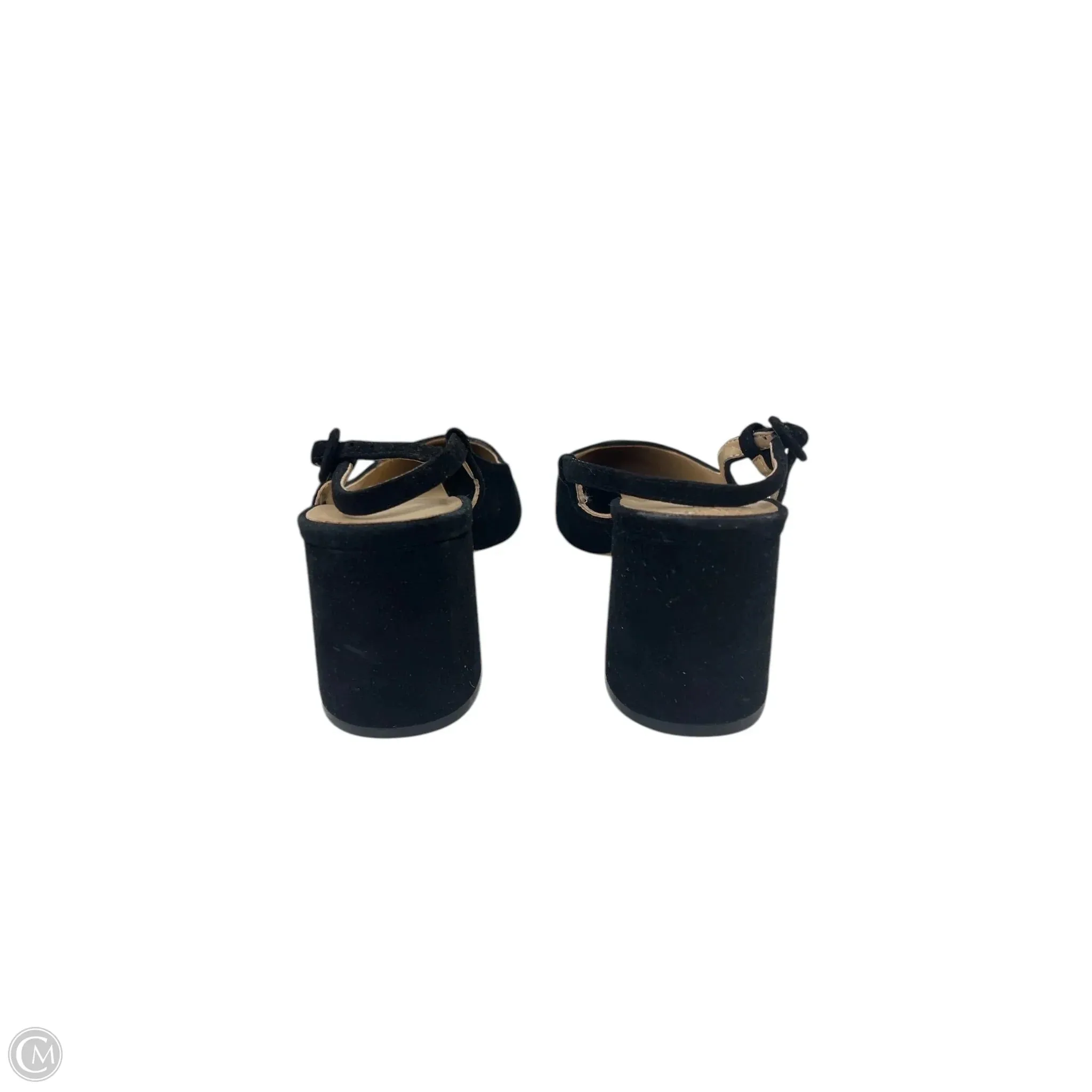 Shoes Heels Block By Ann Taylor In Black, Size: 8