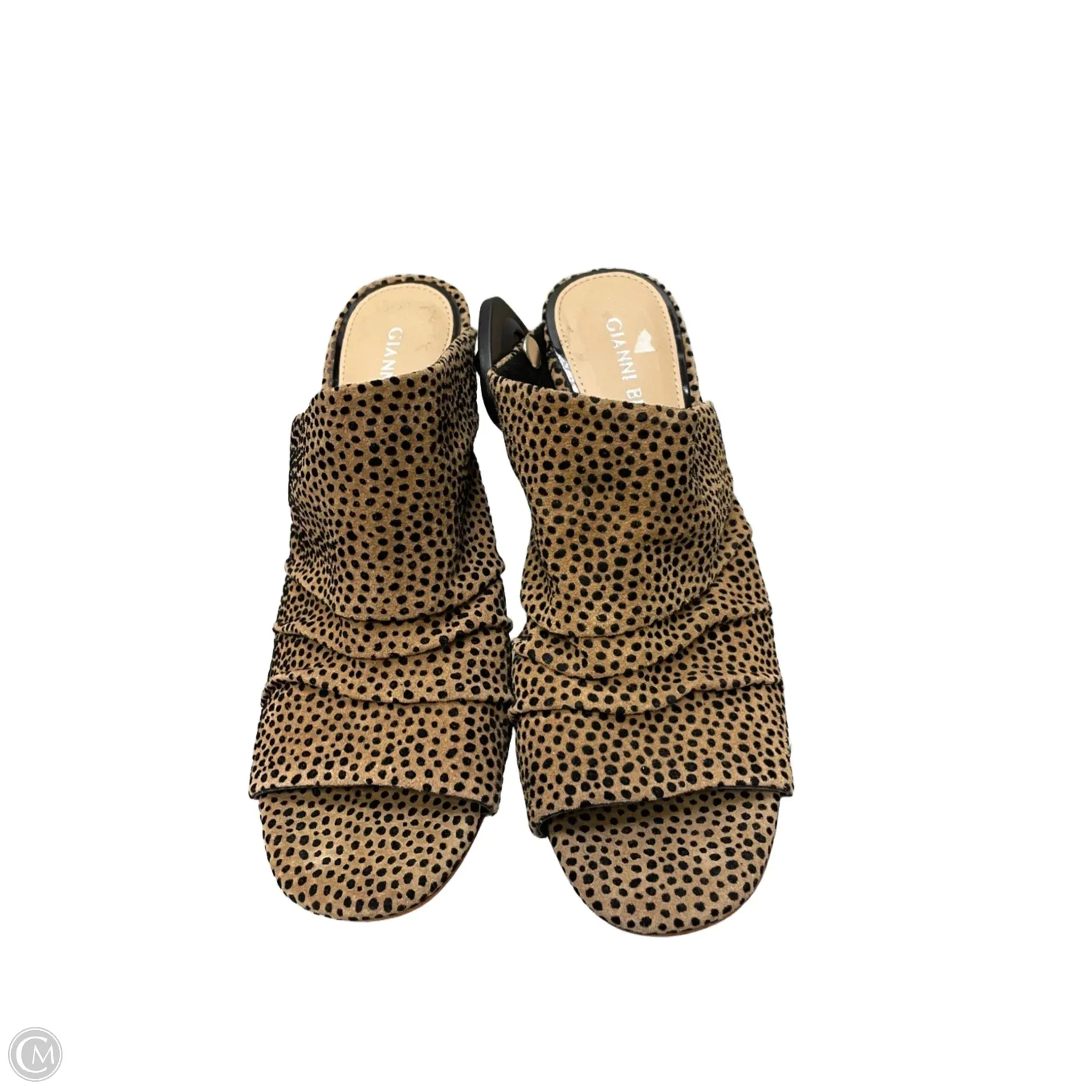 Shoes Heels Block By Gianni Bini In Leopard Print, Size: 6