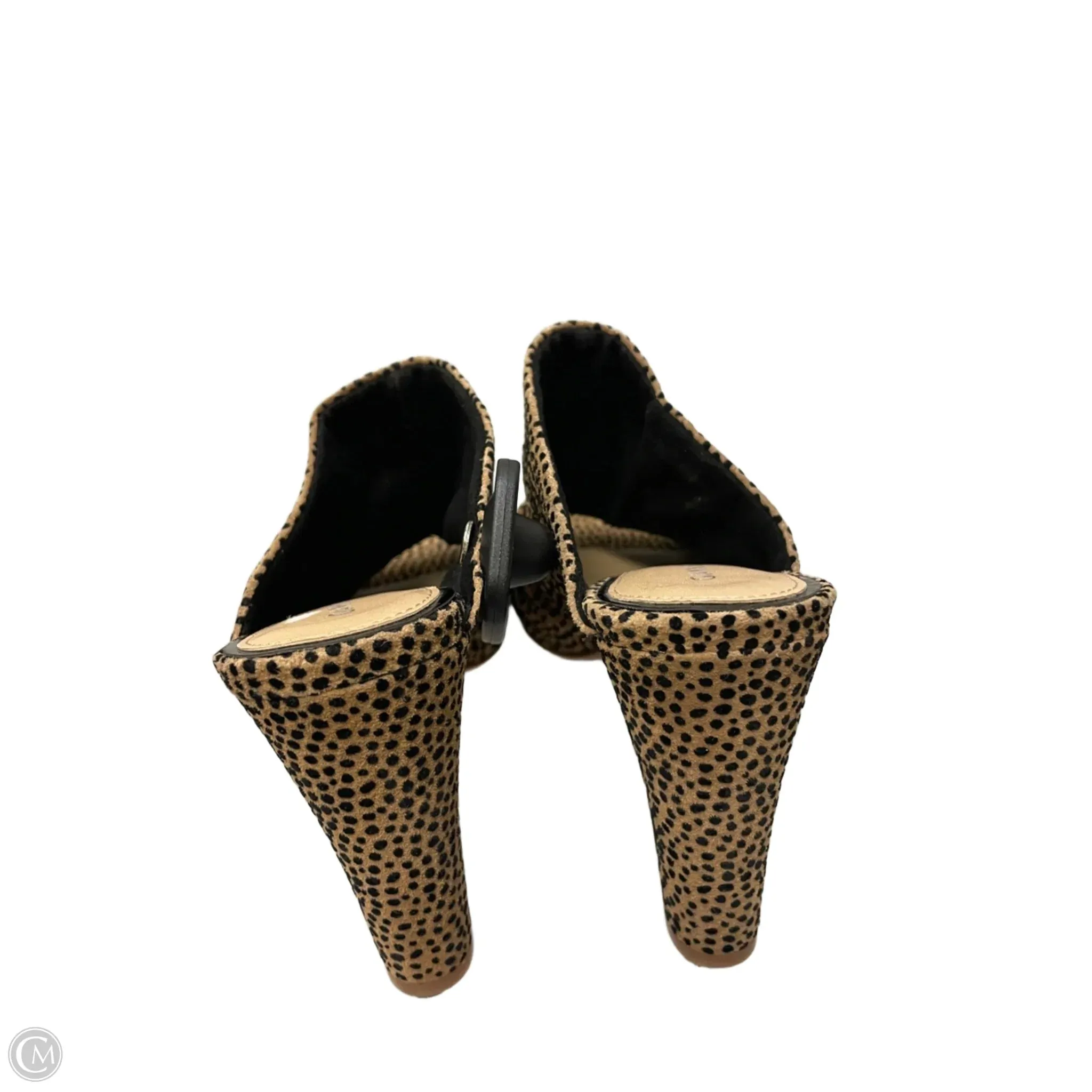 Shoes Heels Block By Gianni Bini In Leopard Print, Size: 6