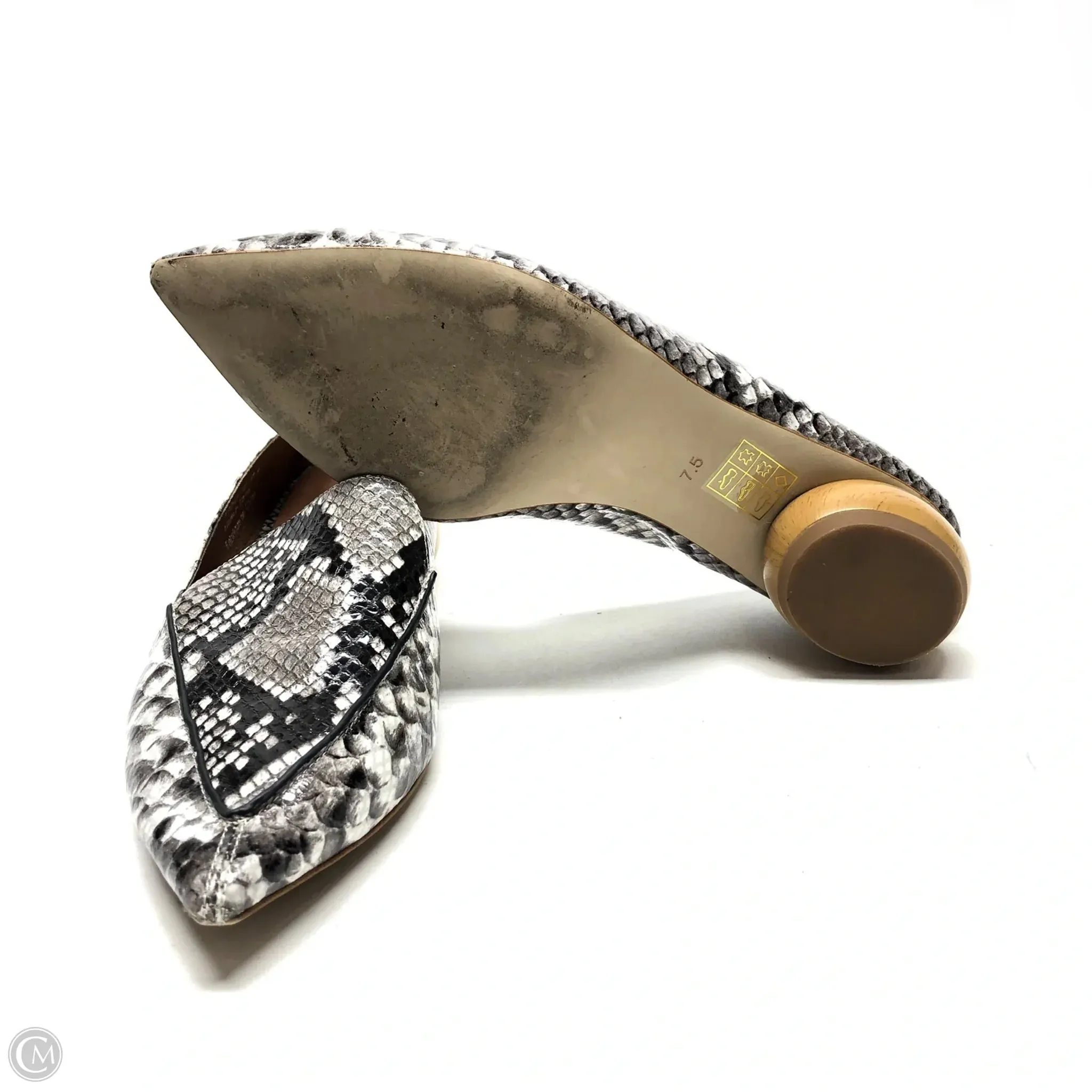 Shoes Heels Block By Jeffery Campbell In Snakeskin Print, Size: 7.5