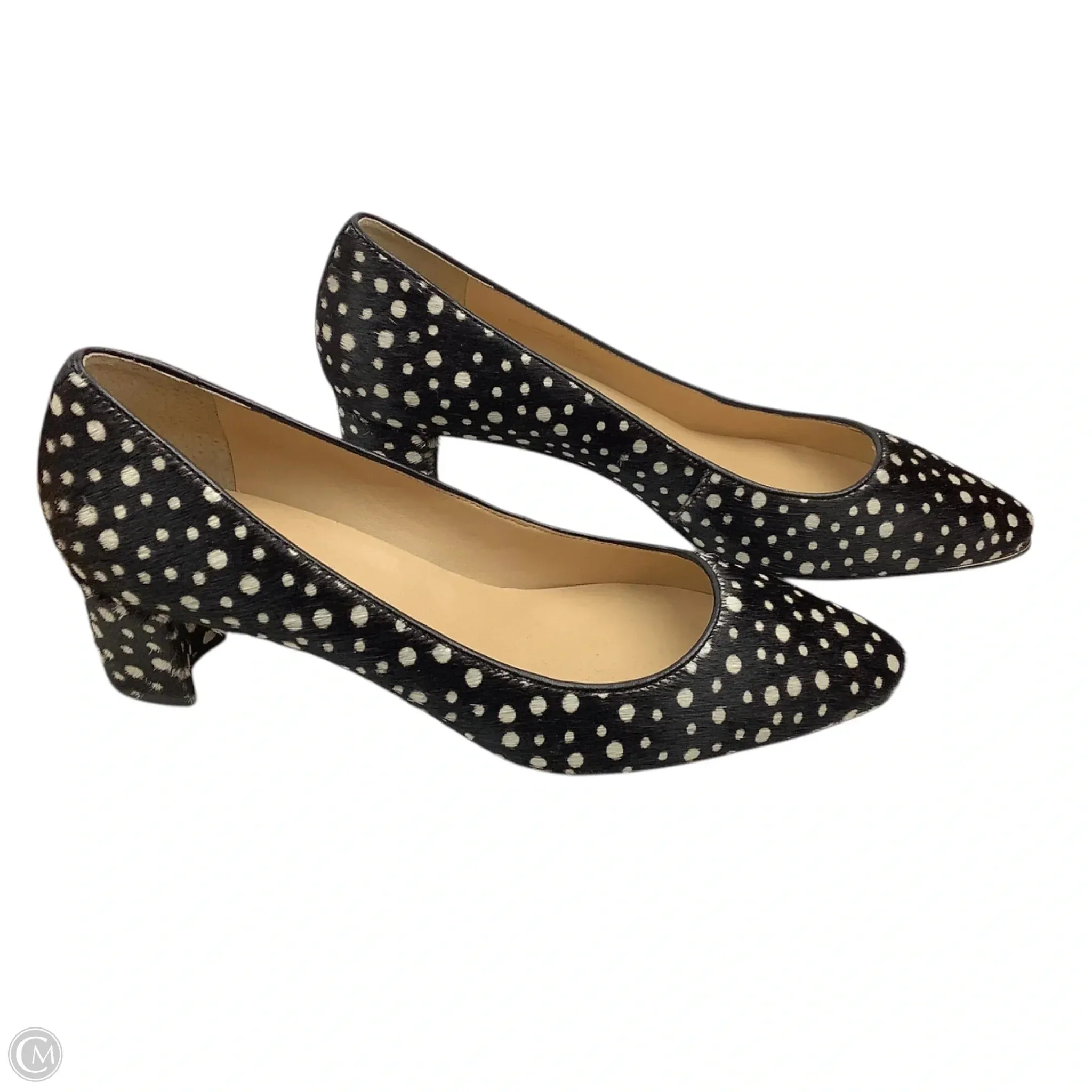 Shoes Heels Block By Talbots In Black & White, Size: 8