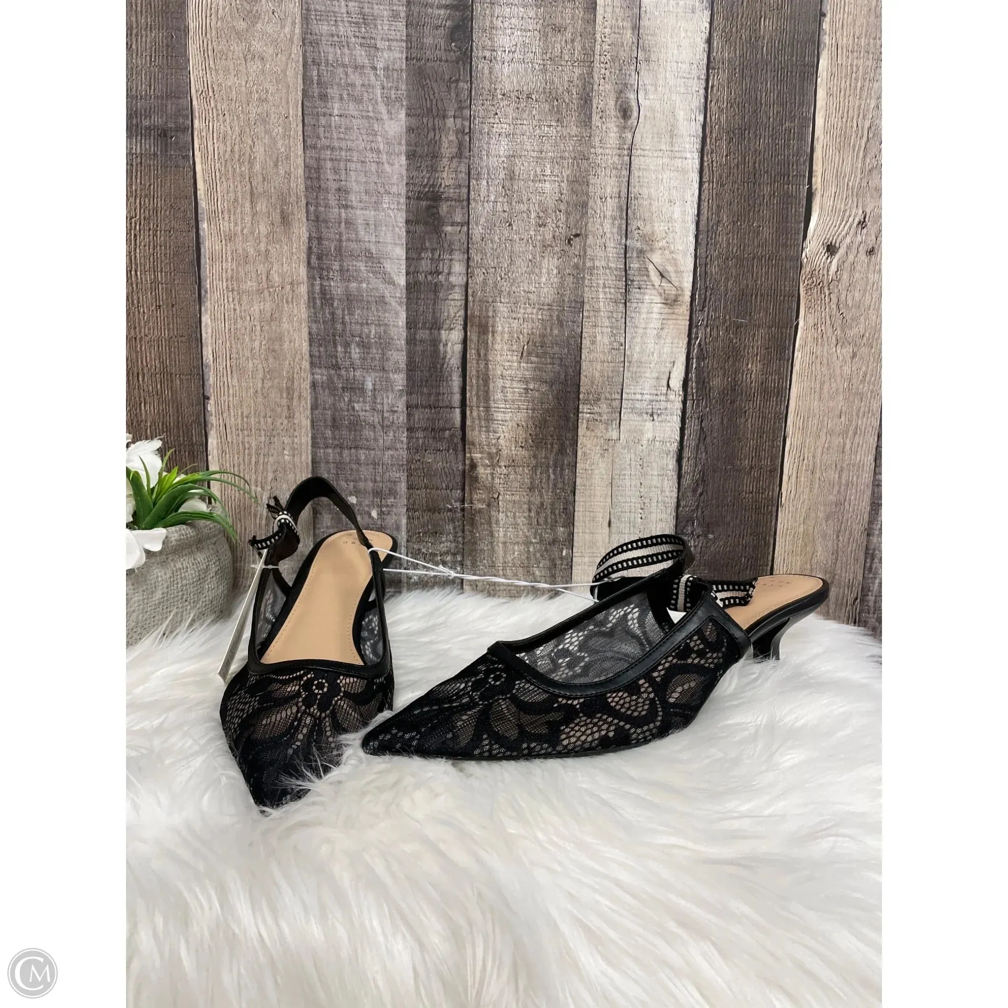 Shoes Heels Kitten By A New Day In Black, Size: 11