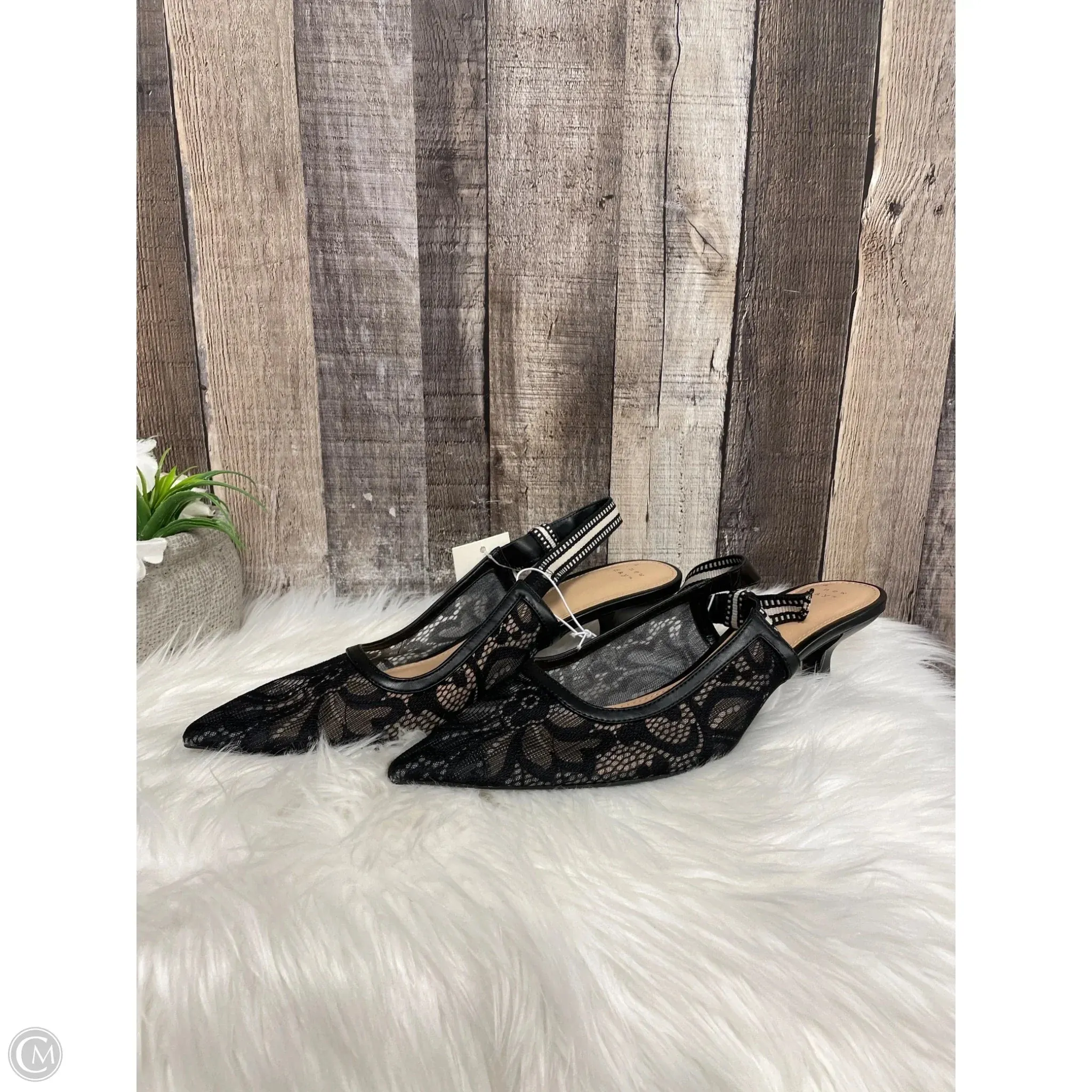 Shoes Heels Kitten By A New Day In Black, Size: 11