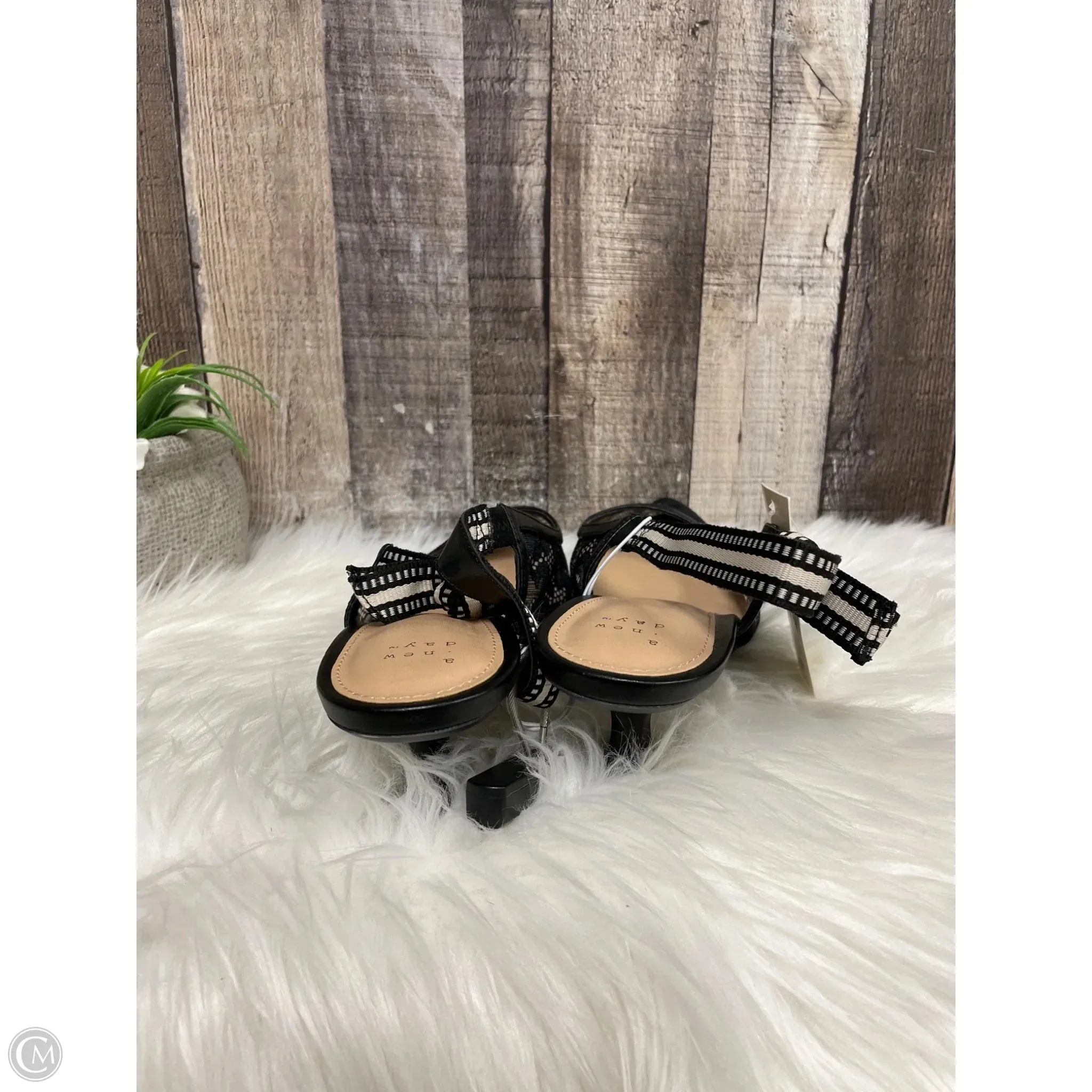 Shoes Heels Kitten By A New Day In Black, Size: 11