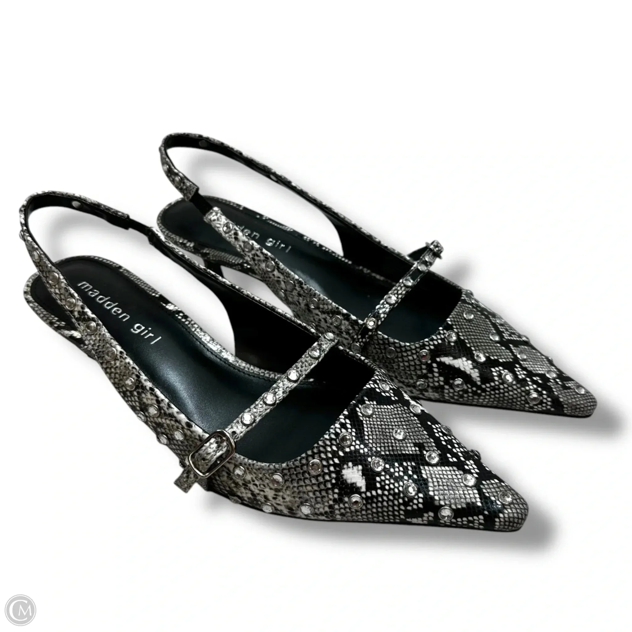 Shoes Heels Kitten By Madden Girl In Snakeskin Print, Size: 6.5