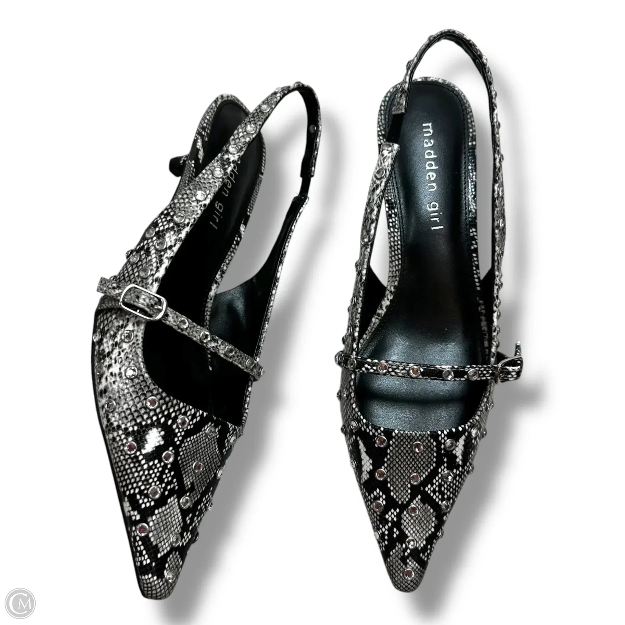 Shoes Heels Kitten By Madden Girl In Snakeskin Print, Size: 6.5
