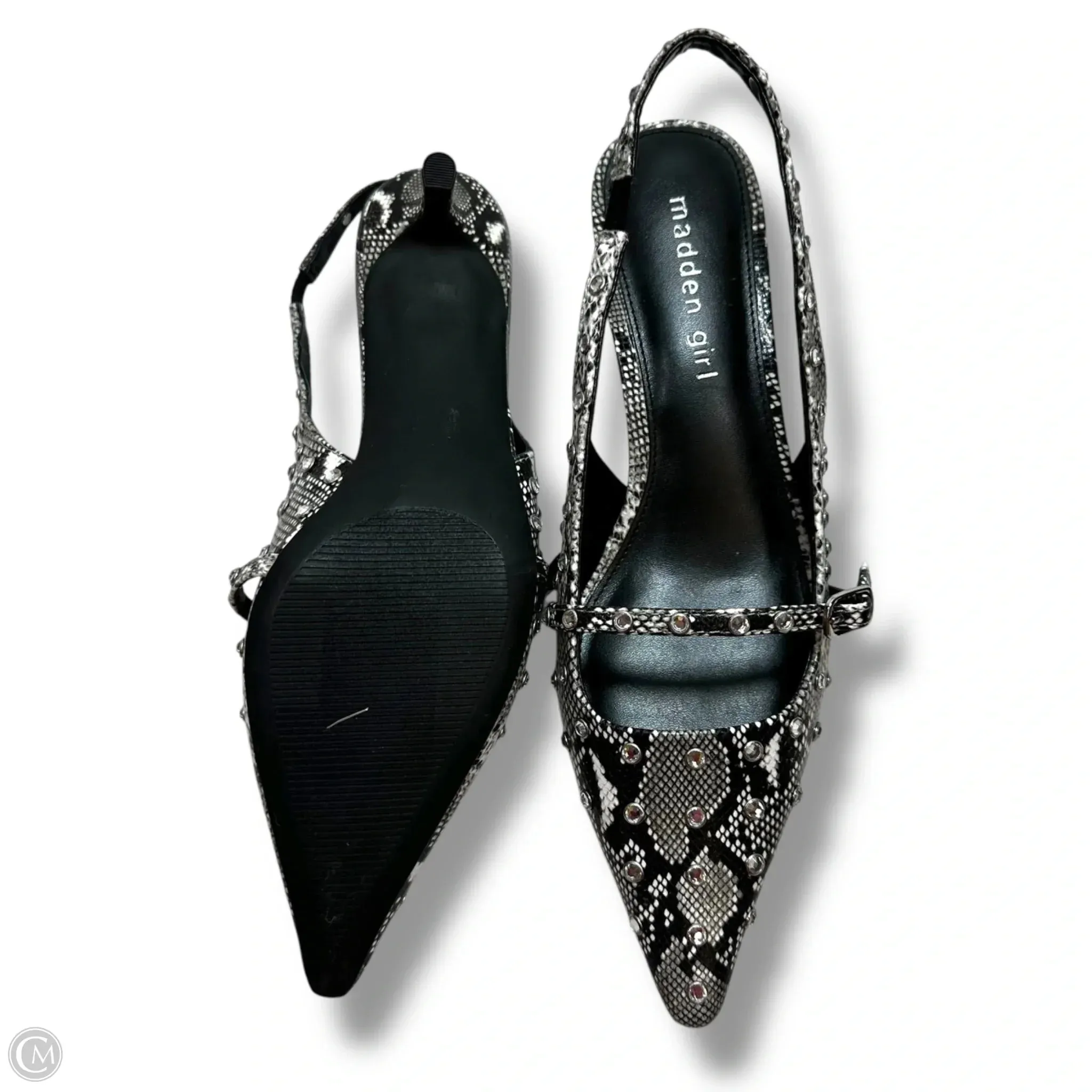 Shoes Heels Kitten By Madden Girl In Snakeskin Print, Size: 6.5