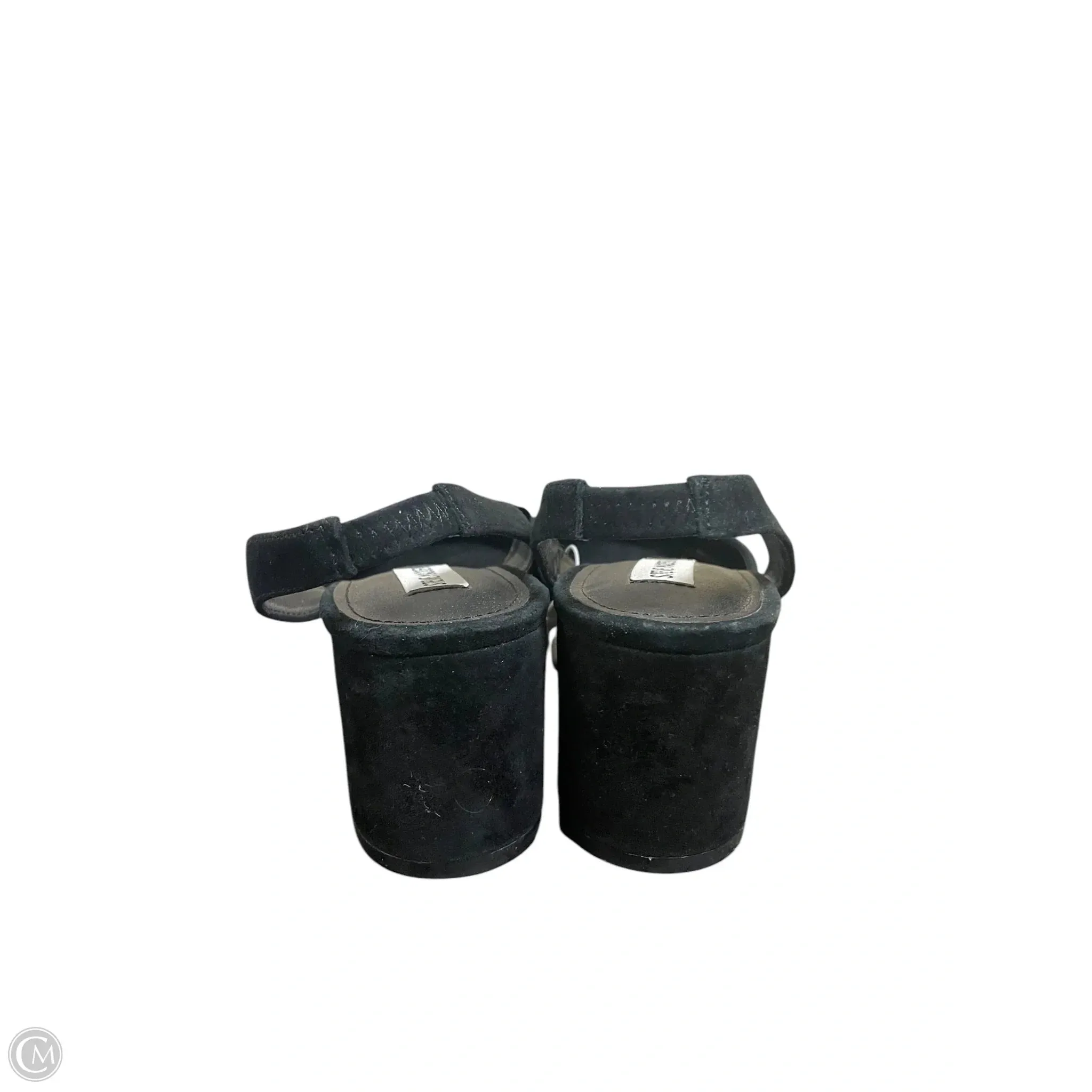 Shoes Heels Kitten By Steve Madden In Black, Size: 10