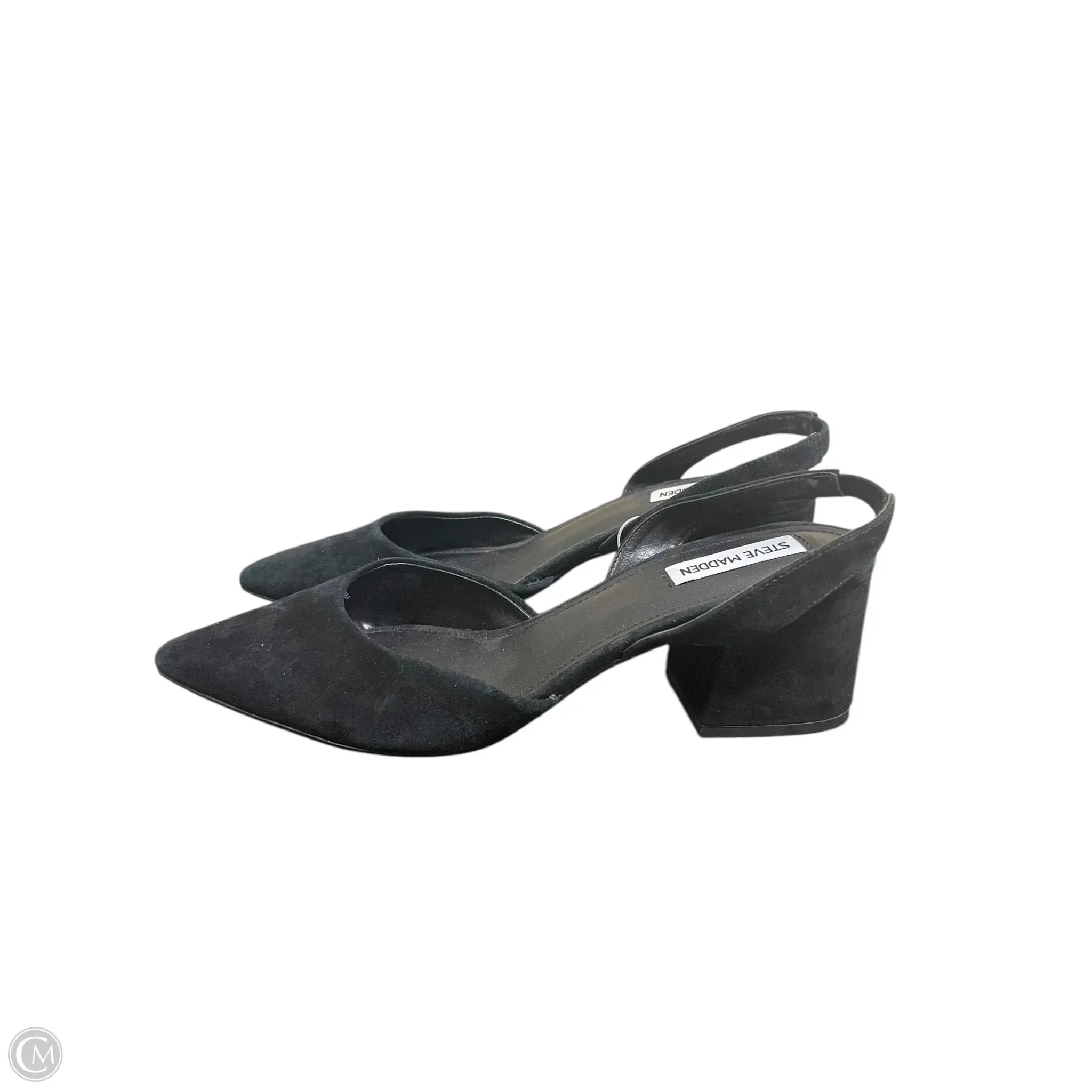 Shoes Heels Kitten By Steve Madden In Black, Size: 10