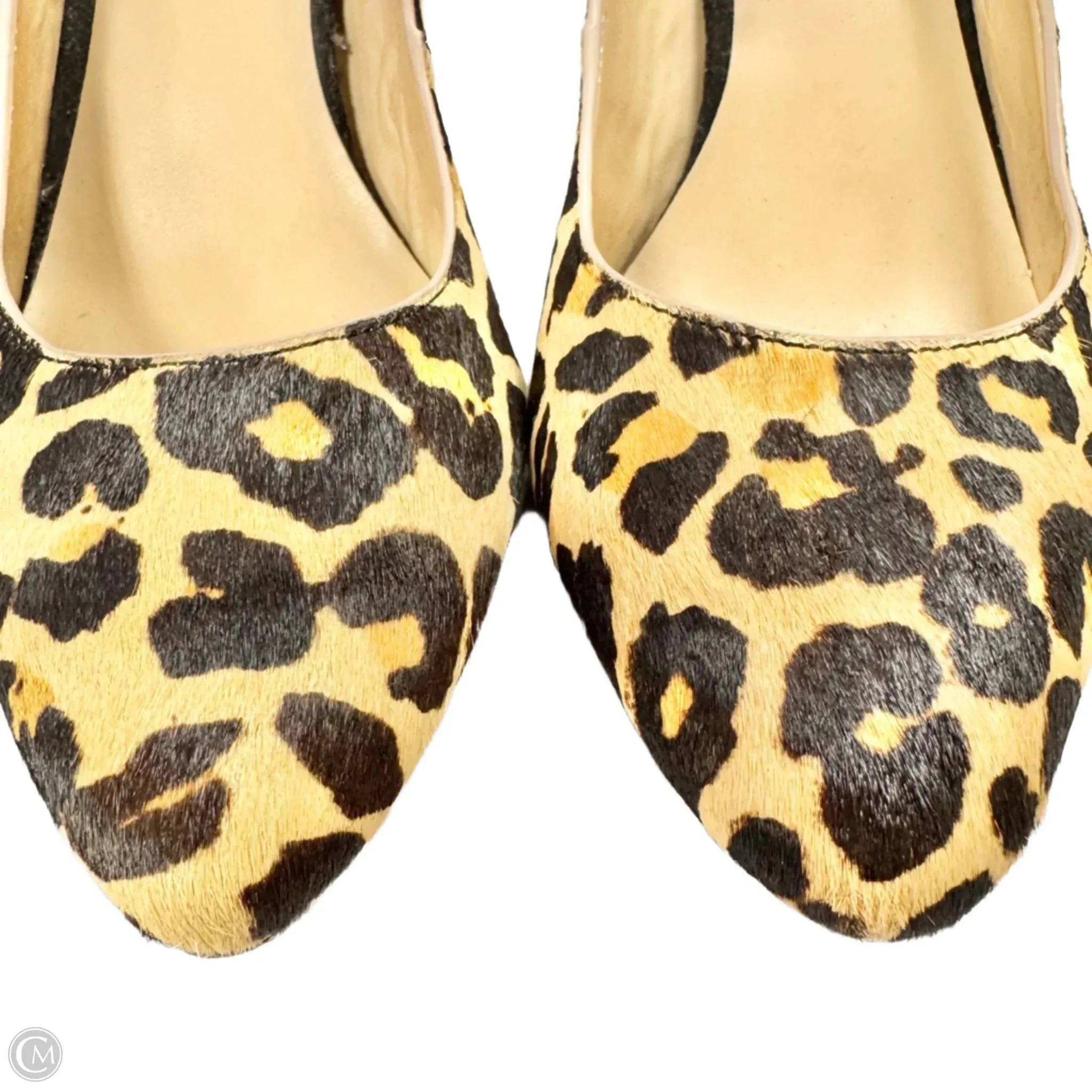 Shoes Heels Stiletto By Inc In Animal Print, Size: 8