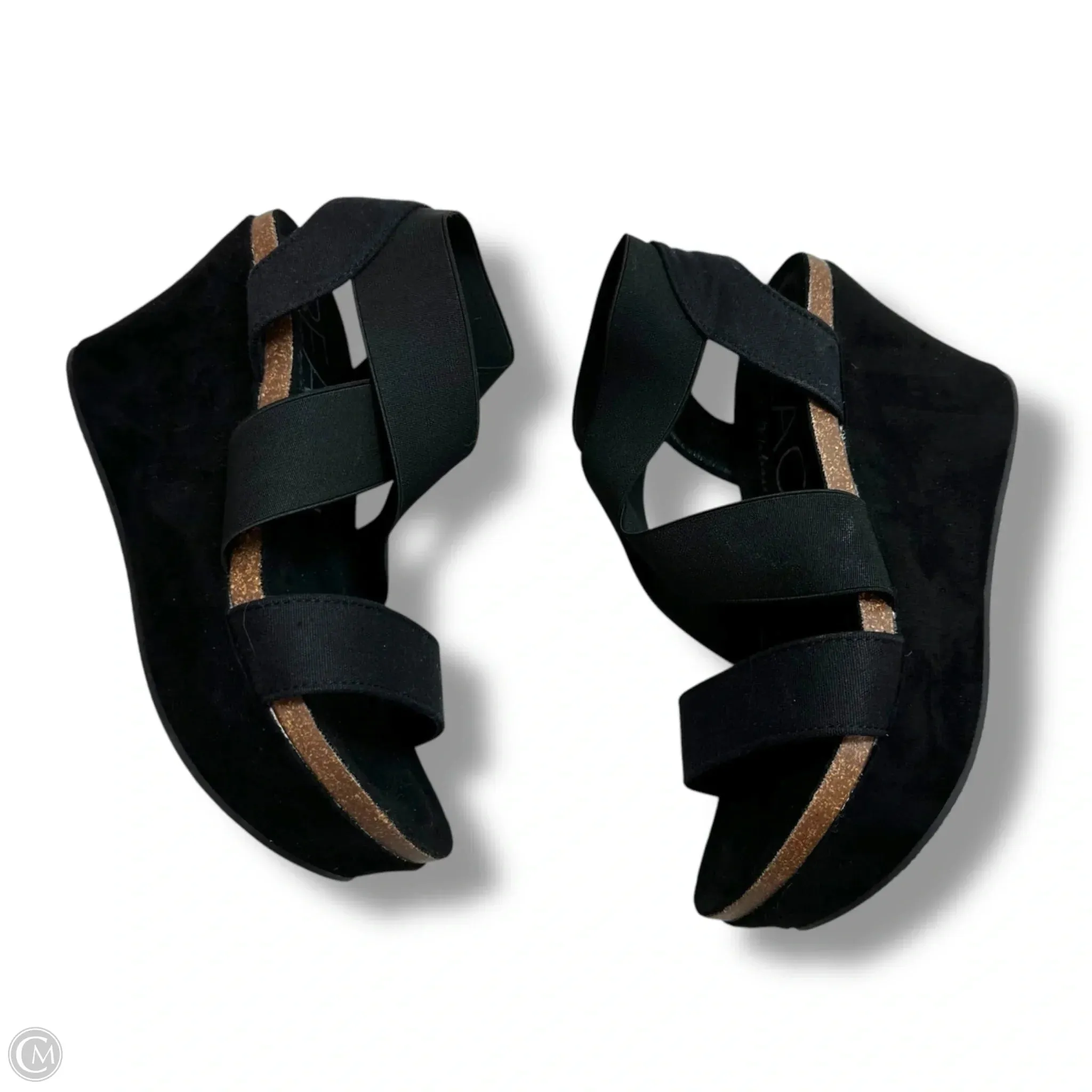 Shoes Heels Wedge By Beach by Matisse In Black, Size: 7